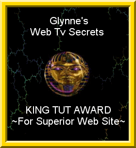 Glynne's WebTV Secrets Awared